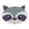 Raccoon